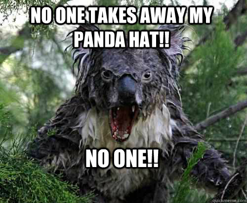 NO ONE TAKES AWAY MY PANDA HAT!! NO ONE!!  Angry Koala