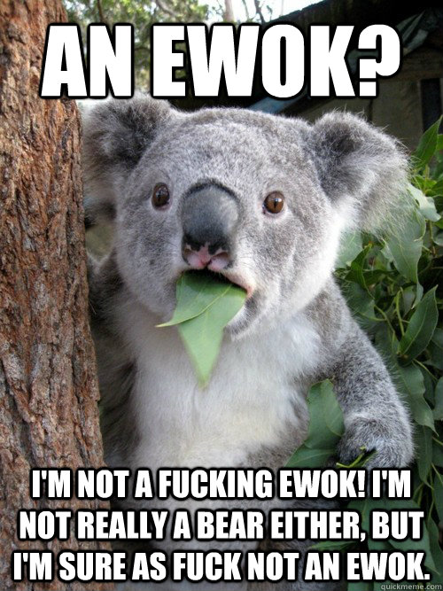 An EWOK?  I'm not a fucking ewok! I'm not really a bear either, but I'm sure as fuck not an ewok.  Surprised Koala