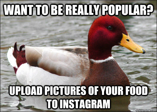 Want to be really popular? Upload pictures of your food to Instagram  Malicious Advice Mallard
