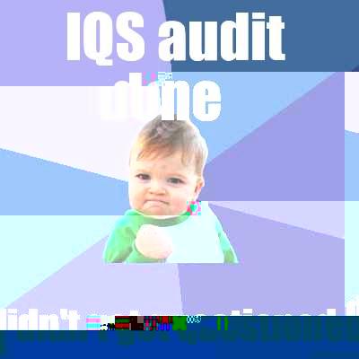 IQS AUDIT DONE DIDN'T GET QUESTIONED Success Kid