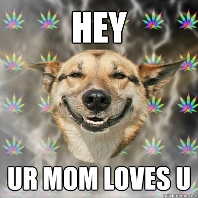 hey  ur mom loves u - hey  ur mom loves u  Stoner Dog