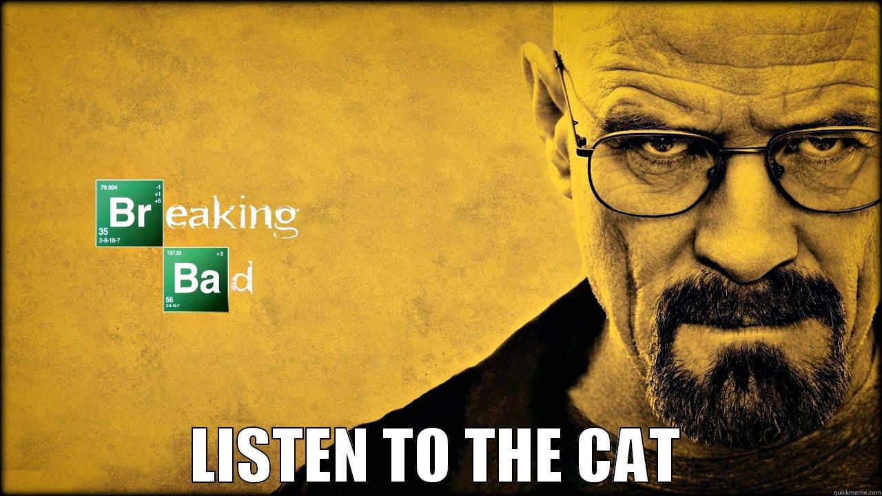 blah blah eff it -  LISTEN TO THE CAT Misc