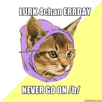 LURK 4chan ERRDAY NEVER GO ON /b/  Hipster Kitty