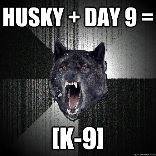 husky + day 9 =  [K-9]  Insanity Wolf