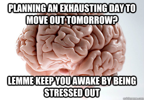 Planning an exhausting day to move out tomorrow? Lemme keep you awake by being stressed out  Scumbag Brain