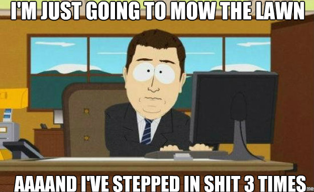 I'm just going to mow the lawn aaaand I've stepped in shit 3 times  aaaand its gone