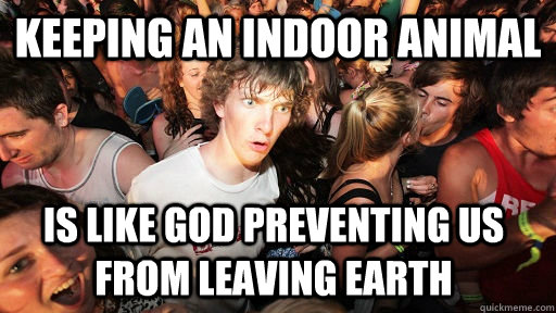 Keeping an indoor animal Is like god preventing us from leaving earth  Sudden Clarity Clarence