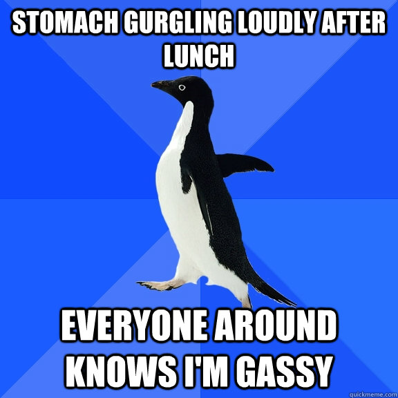 Stomach gurgling loudly After lunch everyone around knows i'm gassy  Socially Awkward Penguin