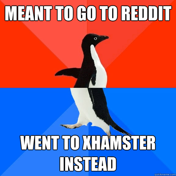 Meant to go to reddit went to xhamster instead  Socially Awesome Awkward Penguin