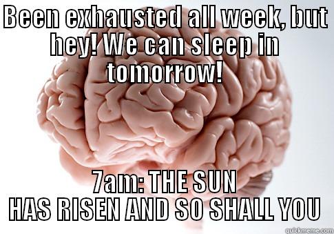 BEEN EXHAUSTED ALL WEEK, BUT HEY! WE CAN SLEEP IN TOMORROW! 7AM: THE SUN HAS RISEN AND SO SHALL YOU Scumbag Brain
