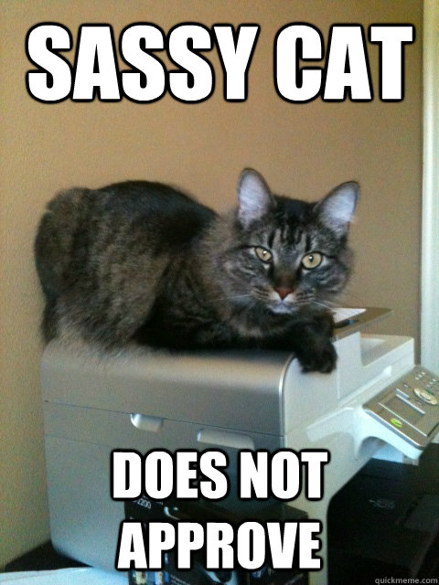 sassy cat does not approve - sassy cat does not approve  Misc