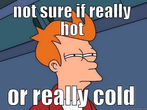NOT SURE IF REALLY HOT OR REALLY COLD Futurama Fry