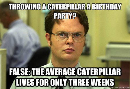 Throwing a caterpillar a birthday party? False: The average caterpillar lives for only three weeks  