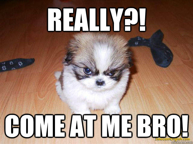 Really?! Come at me bro!  Come at me bro