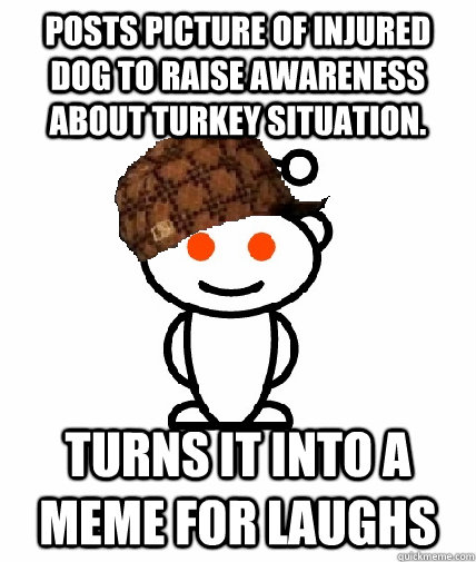 Posts picture of injured dog to raise awareness about turkey situation. Turns it into a meme for laughs   Scumbag Redditor