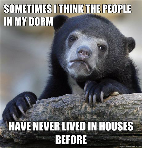 Sometimes i think the people in my Dorm have never lived in houses before   Confession Bear