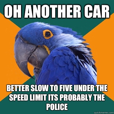 Oh another car Better slow to five under the speed limit its probably the police  Paranoid Parrot