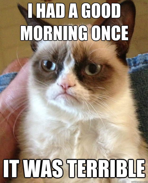 i had a good morning once it was terrible  Grumpy Cat