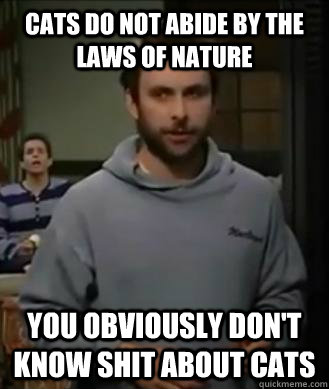 cats do not abide by the laws of nature You obviously don't know shit about cats  - cats do not abide by the laws of nature You obviously don't know shit about cats   A friend couldnt understand how her cat physically managed to get stuck in her roof
