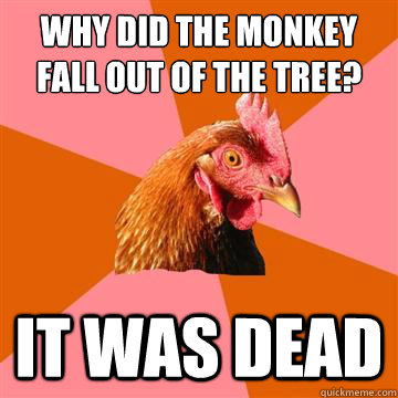 Why did the monkey fall out of the tree? It was dead  Anti-Joke Chicken