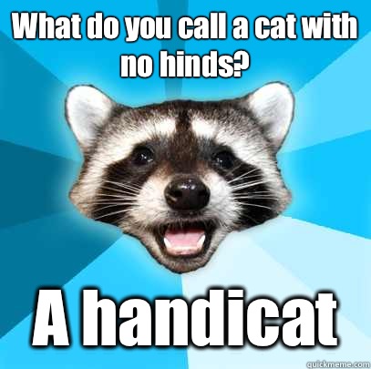 What do you call a cat with no hinds? A handicat   Lame Pun Coon