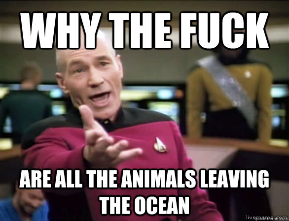 Why the fuck are all the animals leaving the ocean  Annoyed Picard HD