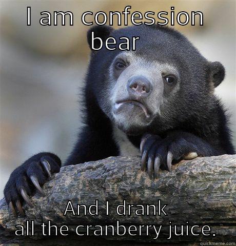 I AM CONFESSION BEAR AND I DRANK ALL THE CRANBERRY JUICE. Confession Bear
