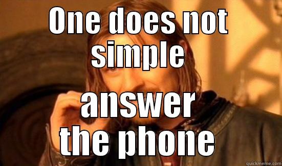 ONE DOES NOT SIMPLE ANSWER THE PHONE Boromir