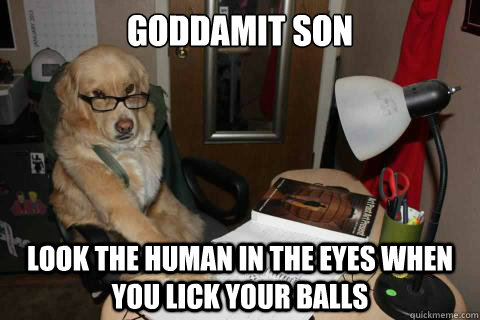 goddamit son look the human in the eyes when you lick your balls  Disapproving Dad Dog