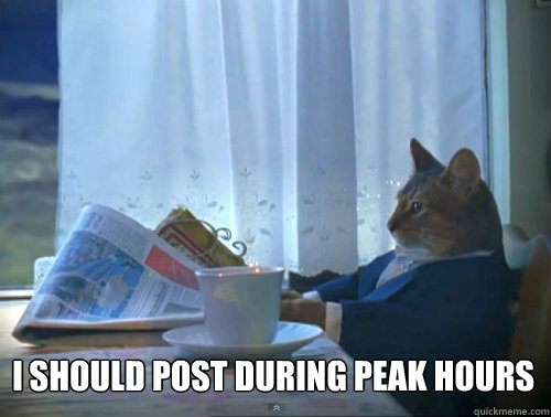  I should post during peak hours  The One Percent Cat