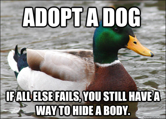 Adopt a Dog If all else fails, you still have a way to hide a body. - Adopt a Dog If all else fails, you still have a way to hide a body.  Actual Advice Mallard