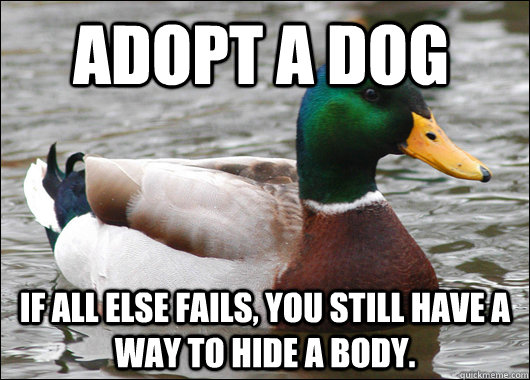 Adopt a Dog If all else fails, you still have a way to hide a body.  Actual Advice Mallard