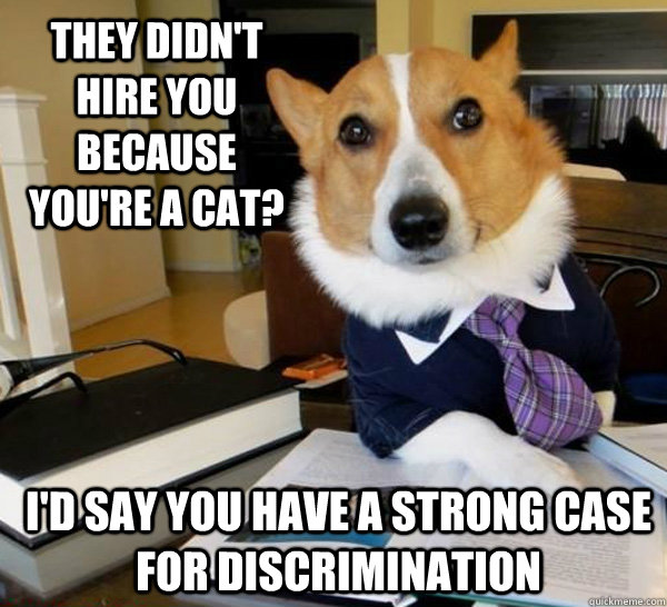 They didn't hire you because you're a cat? I'd say you have a strong case for discrimination  Lawyer Dog