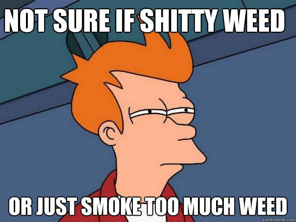 not sure if shitty weed or just smoke too much weed - not sure if shitty weed or just smoke too much weed  Futurama Fry