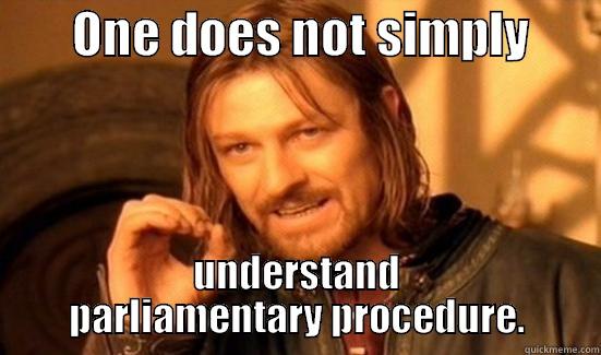        ONE DOES NOT SIMPLY        UNDERSTAND PARLIAMENTARY PROCEDURE. Boromir