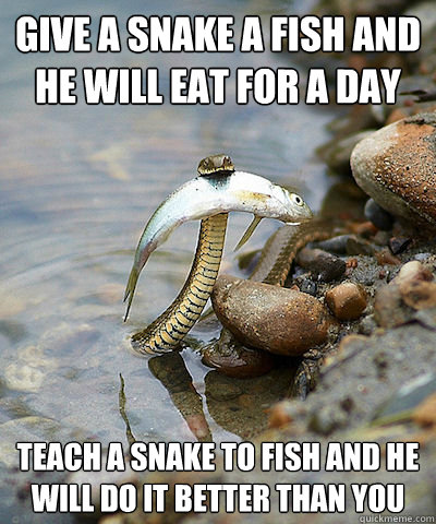 give a snake a fish and he will eat for a day teach a snake to fish and he will do it better than you  