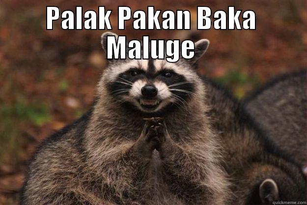 PALAK PAKAN BAKA MALUGE  Evil Plotting Raccoon