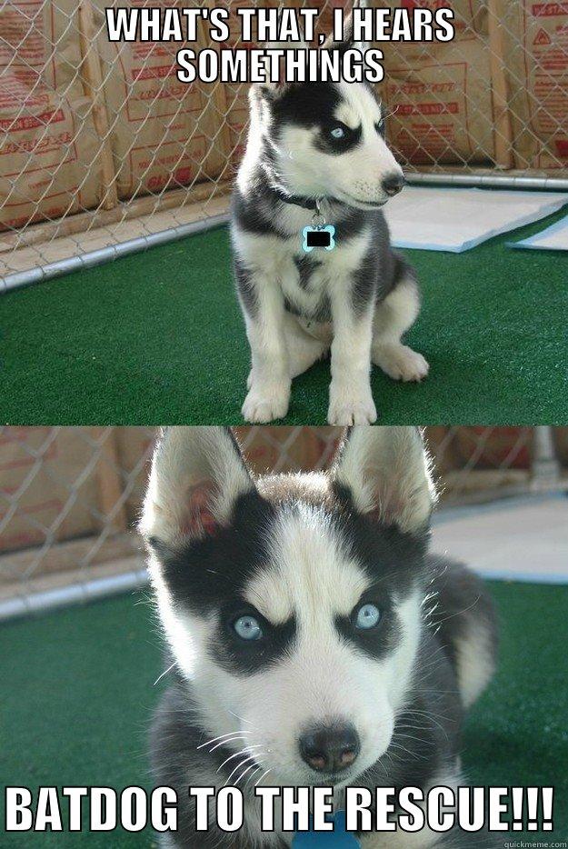 WHAT'S THAT, I HEARS SOMETHINGS  BATDOG TO THE RESCUE!!! Insanity puppy