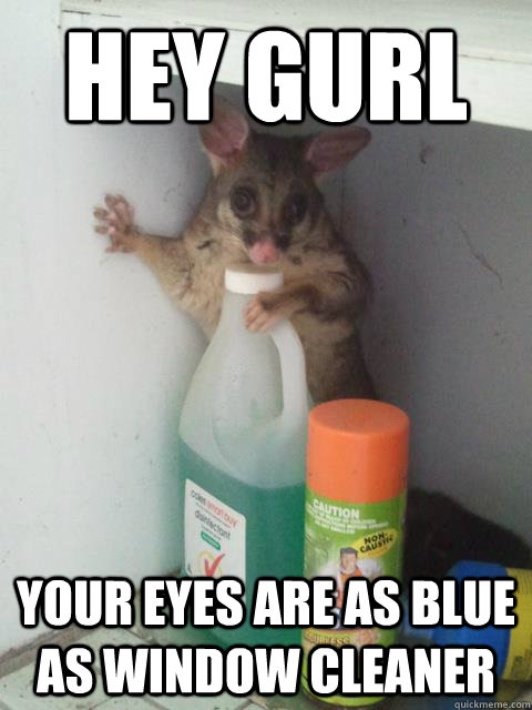 Hey Gurl Your eyes are as blue as window cleaner  Awesome Possum