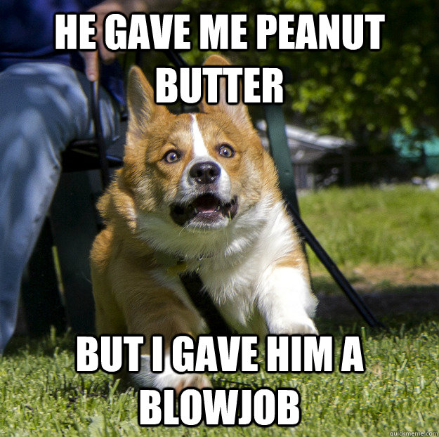 he gave me peanut butter but i gave him a blowjob - he gave me peanut butter but i gave him a blowjob  Terrified Corgi