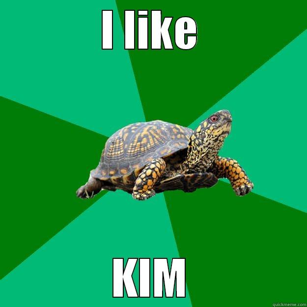 I LIKE KIM Torrenting Turtle