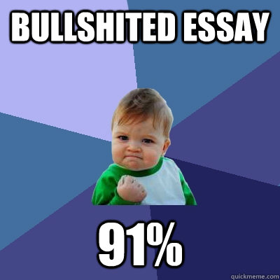 bullshited essay 91%  - bullshited essay 91%   Success Kid