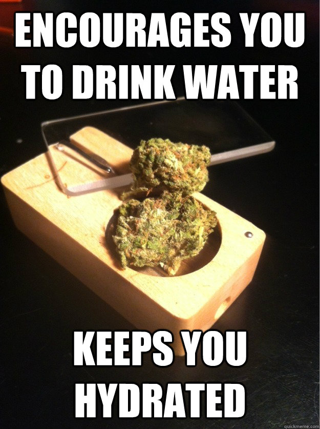 Encourages you to drink water keeps you hydrated - Encourages you to drink water keeps you hydrated  GGMFLB