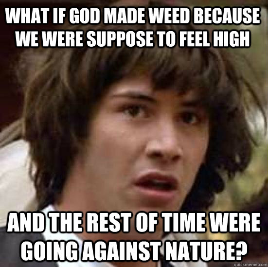What if god made weed because we were suppose to feel high and the rest of time were going against nature?  conspiracy keanu