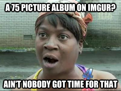 a 75 picture album on imgur? Ain't Nobody Got Time For That  No Time Sweet Brown