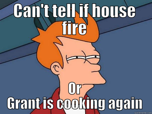 CAN'T TELL IF HOUSE FIRE OR GRANT IS COOKING AGAIN Futurama Fry