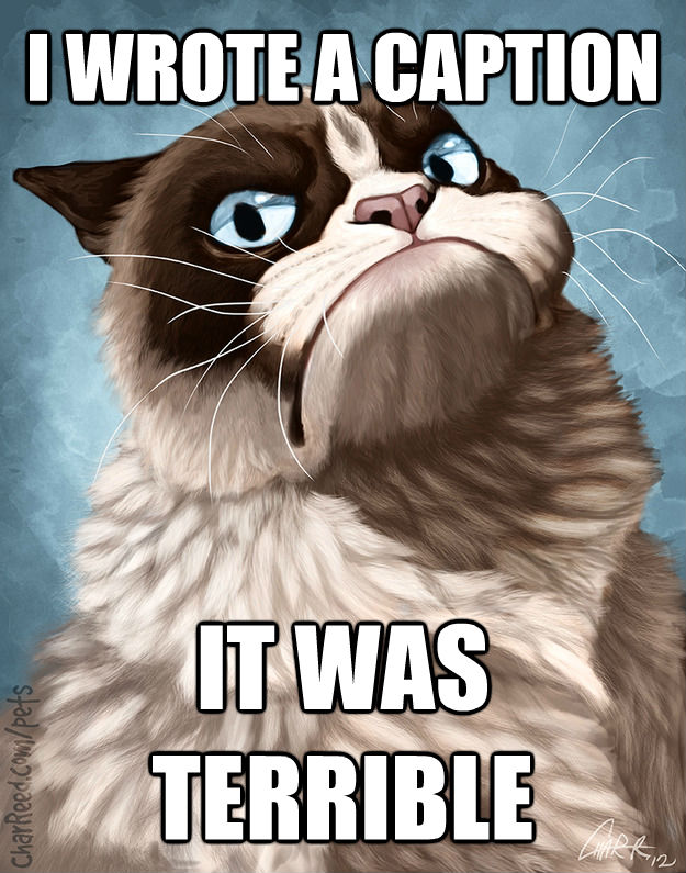 I WROTE A CAPTION IT WAS TERRIBLE - I WROTE A CAPTION IT WAS TERRIBLE  untitled meme