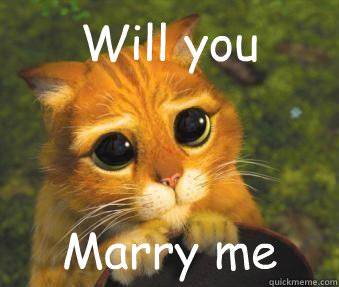 Will you Marry me  