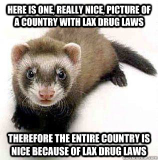 HERE IS ONE, REALLY NICE, PICTURE OF A COUNTRY WITH LAX DRUG LAWS therefore the entire country is nice because of lax drug laws  Logical Fallacy Ferret
