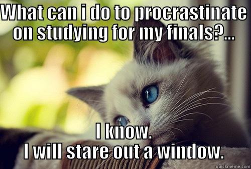 WHAT CAN I DO TO PROCRASTINATE ON STUDYING FOR MY FINALS?... I KNOW. I WILL STARE OUT A WINDOW. First World Problems Cat